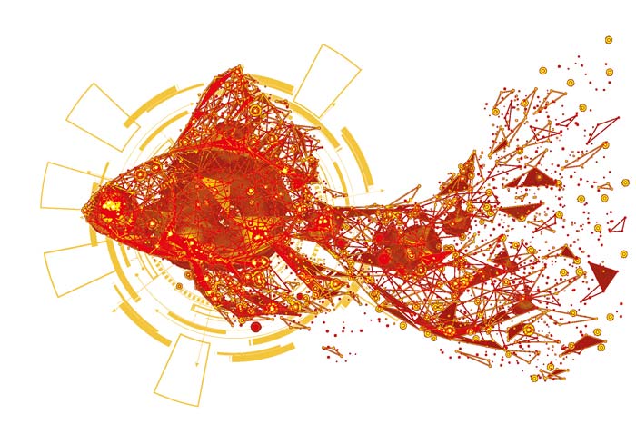 Goldfish-rot-shutterstock_712968703